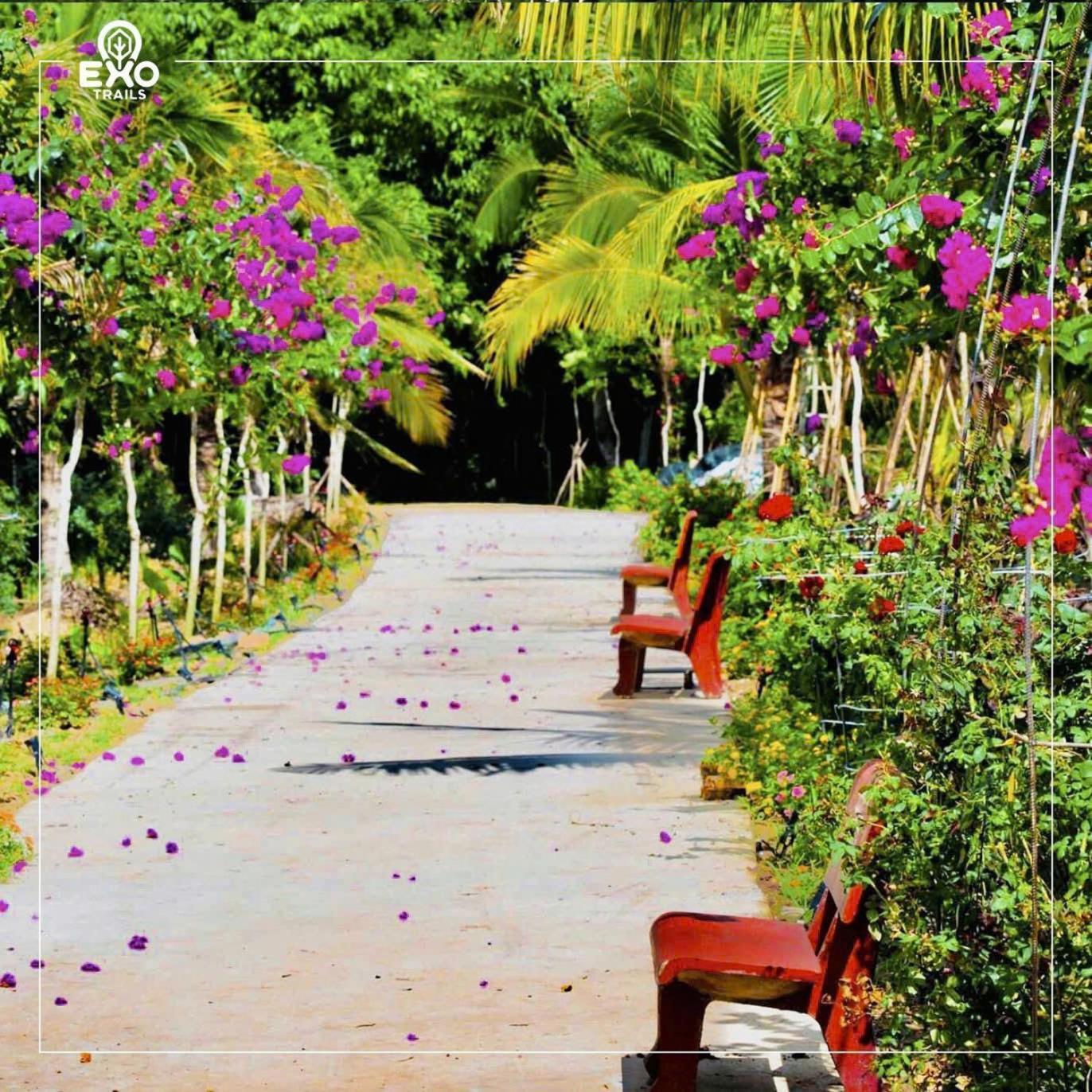 Phu Dien Homestay Cat Tien Esterno foto