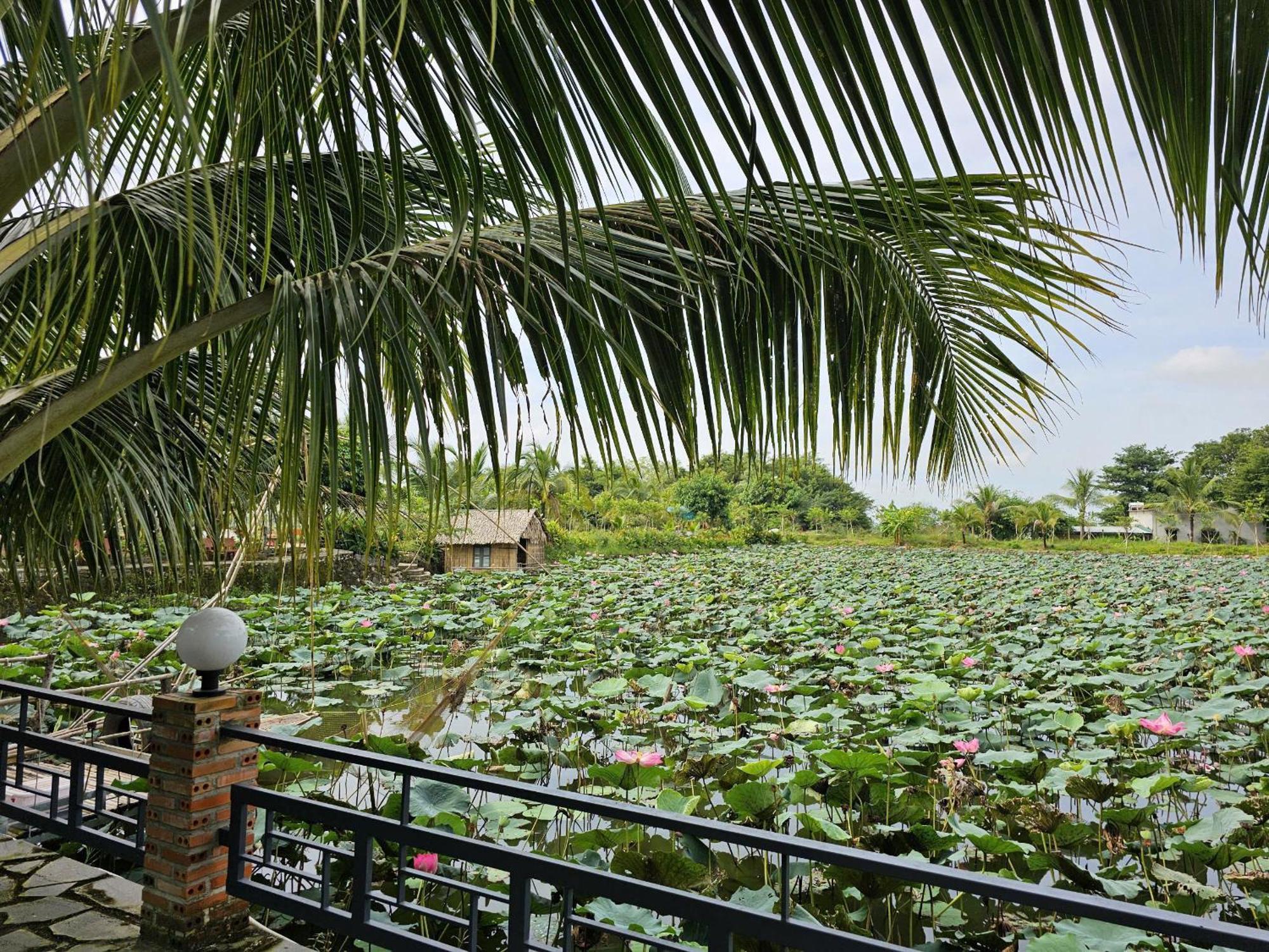 Phu Dien Homestay Cat Tien Esterno foto